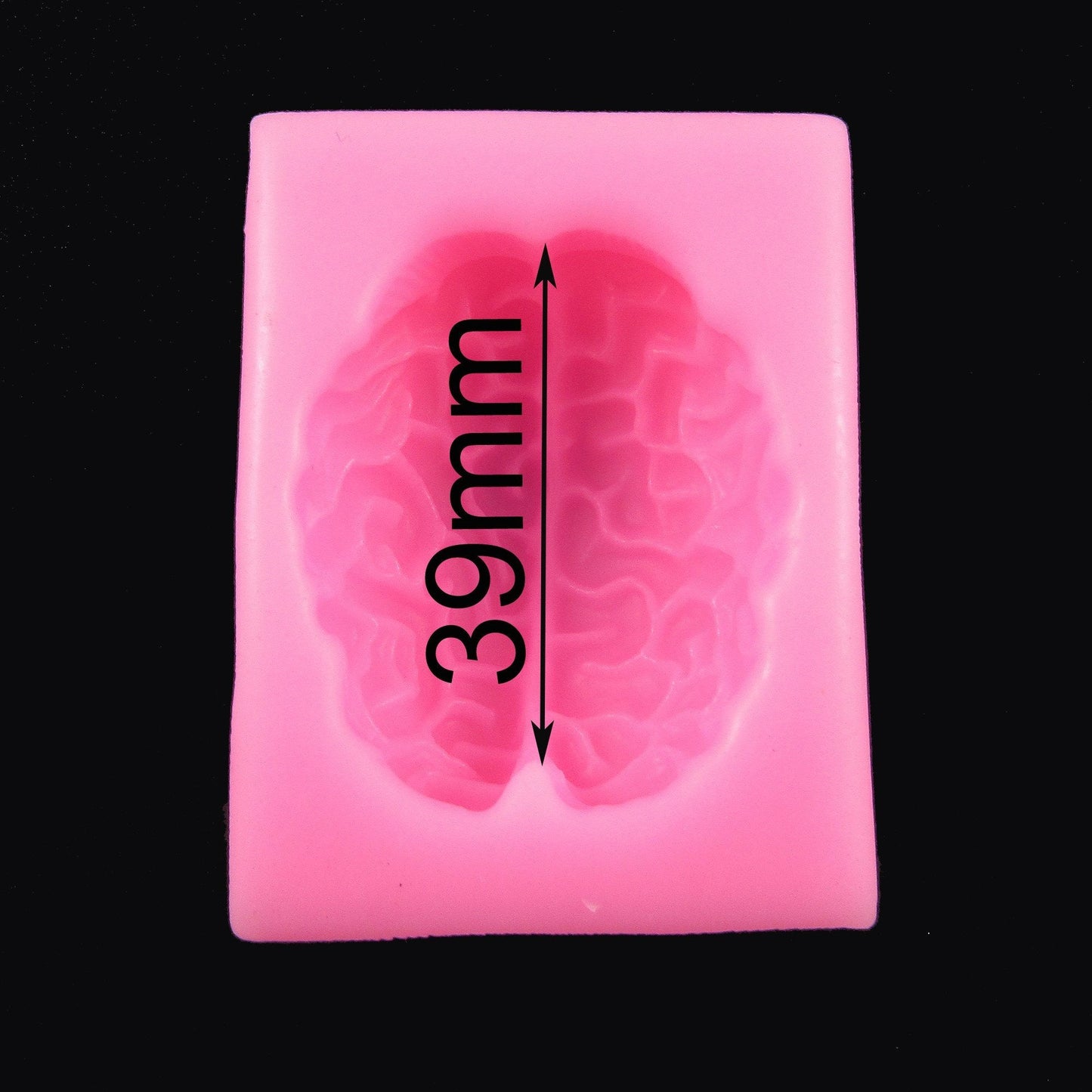 Cerebrum Brain Silicone Mould FOOD GRADE Chocolate Clay or Resin