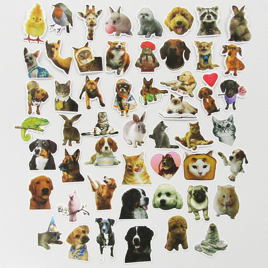 50pcs Cute Animals Sticker Bundle Schoolbooks Cards Junk Journal