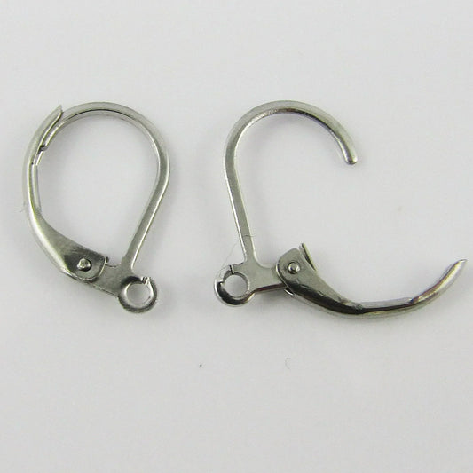 Bulk 10pcs (5pair) Lever Back Earring with Loop 316 Stainless Steel 15x10x1.8mm