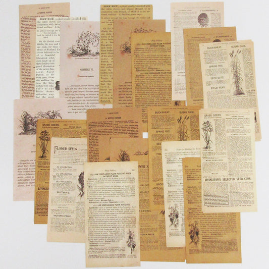 60pc Botanical Retro Scrapbook Papers Cards Journal Ephemera 160x84mm