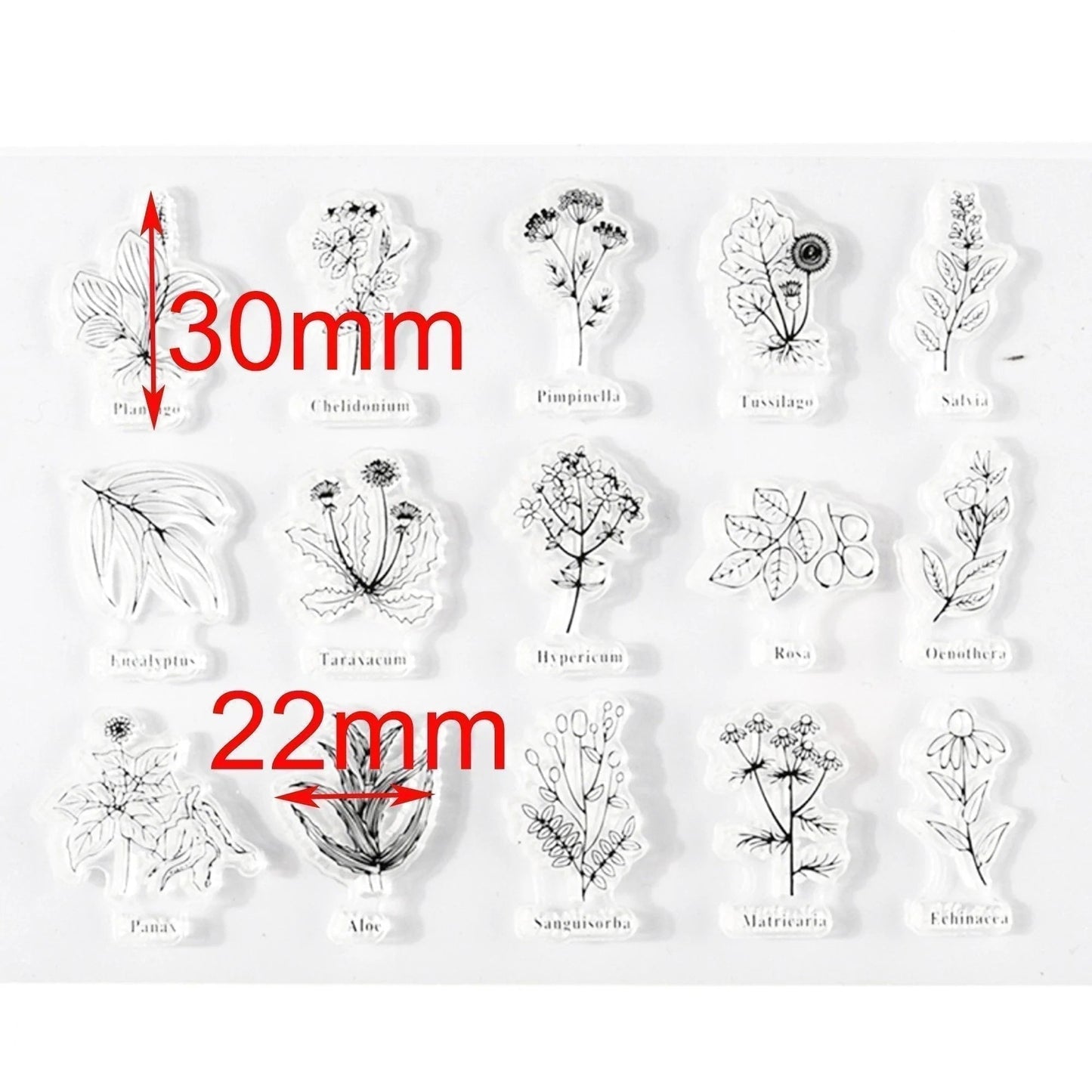 Mini Botanical Plants Clear Stamp Silicone Rubber Scrapbooking Card Making